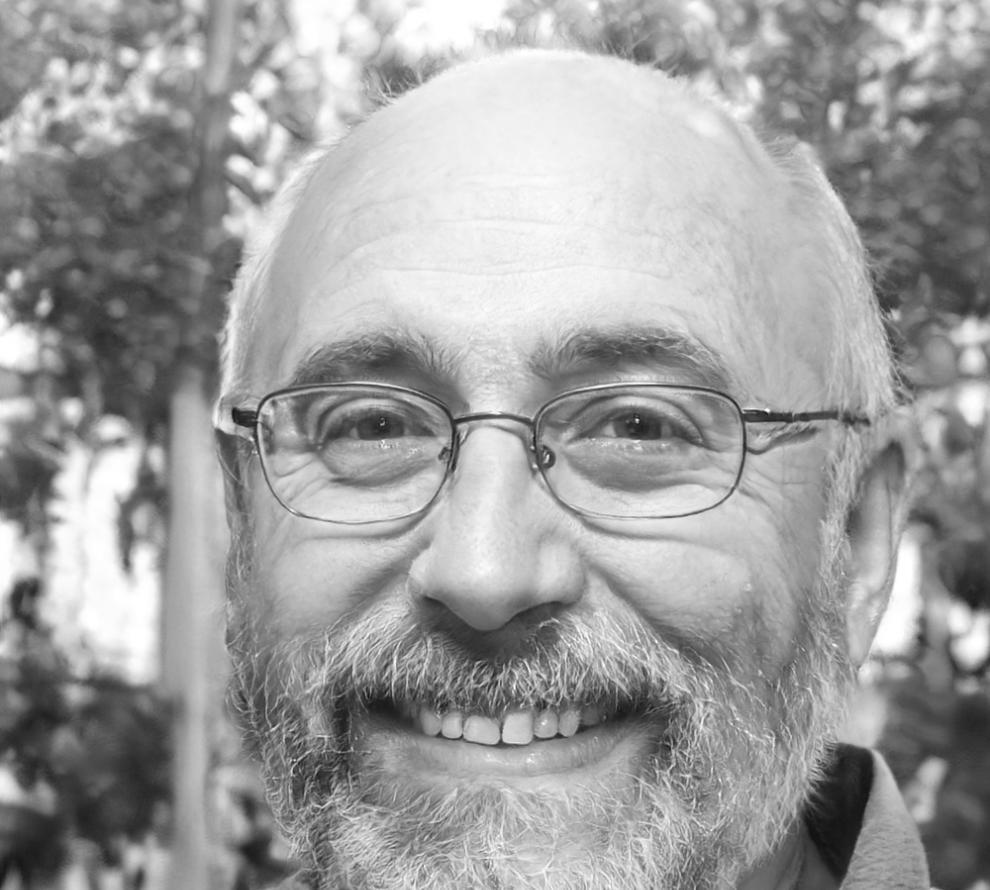 Ludvig Bergström, Trainer für Budgetanalyse